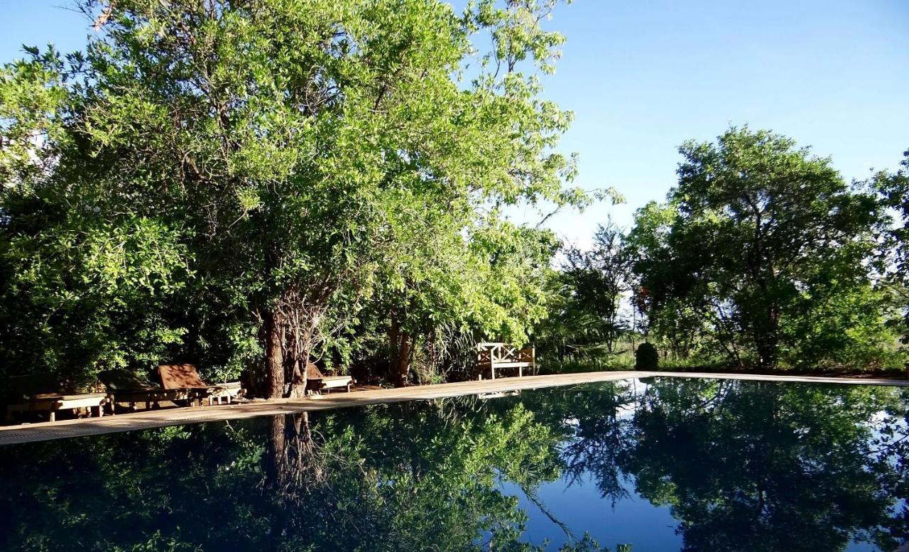 Hotel Ikweta Safari Camp Maua Zewnętrze zdjęcie